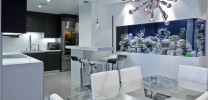 Mila International -  Westwood