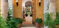 Vineyard & Winery - Napa