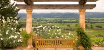 Vineyard & Winery - Napa